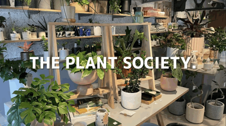 THE PLANT SOCIETY tokyo