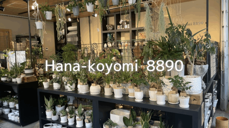 Hana-koyomi 8890