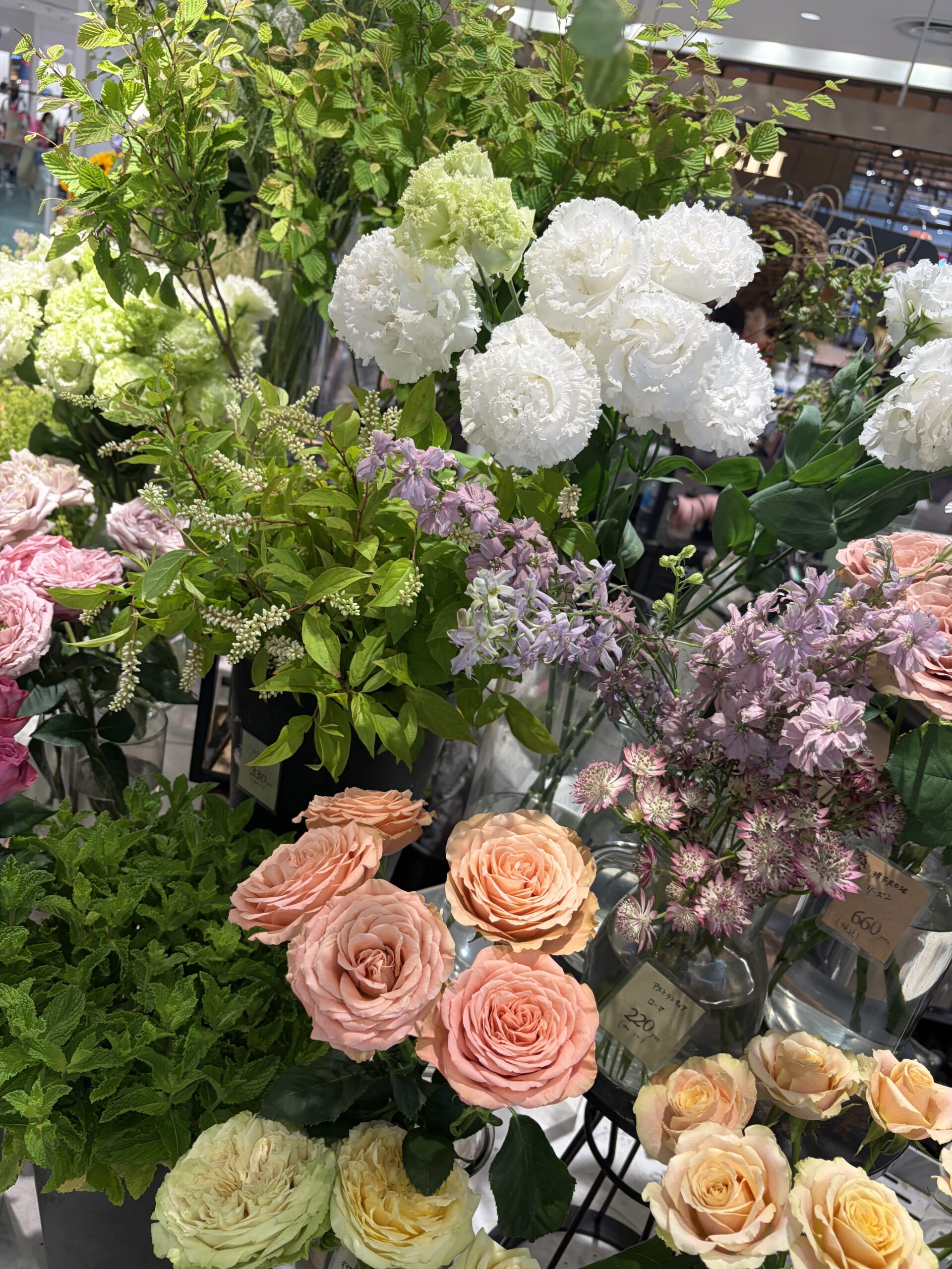 切り花の薔薇ゾーン2