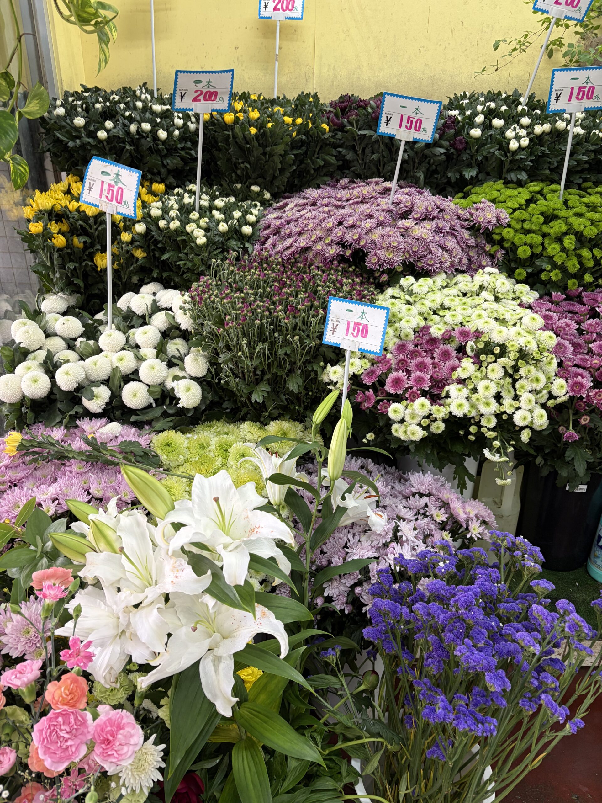 たくさんの生花