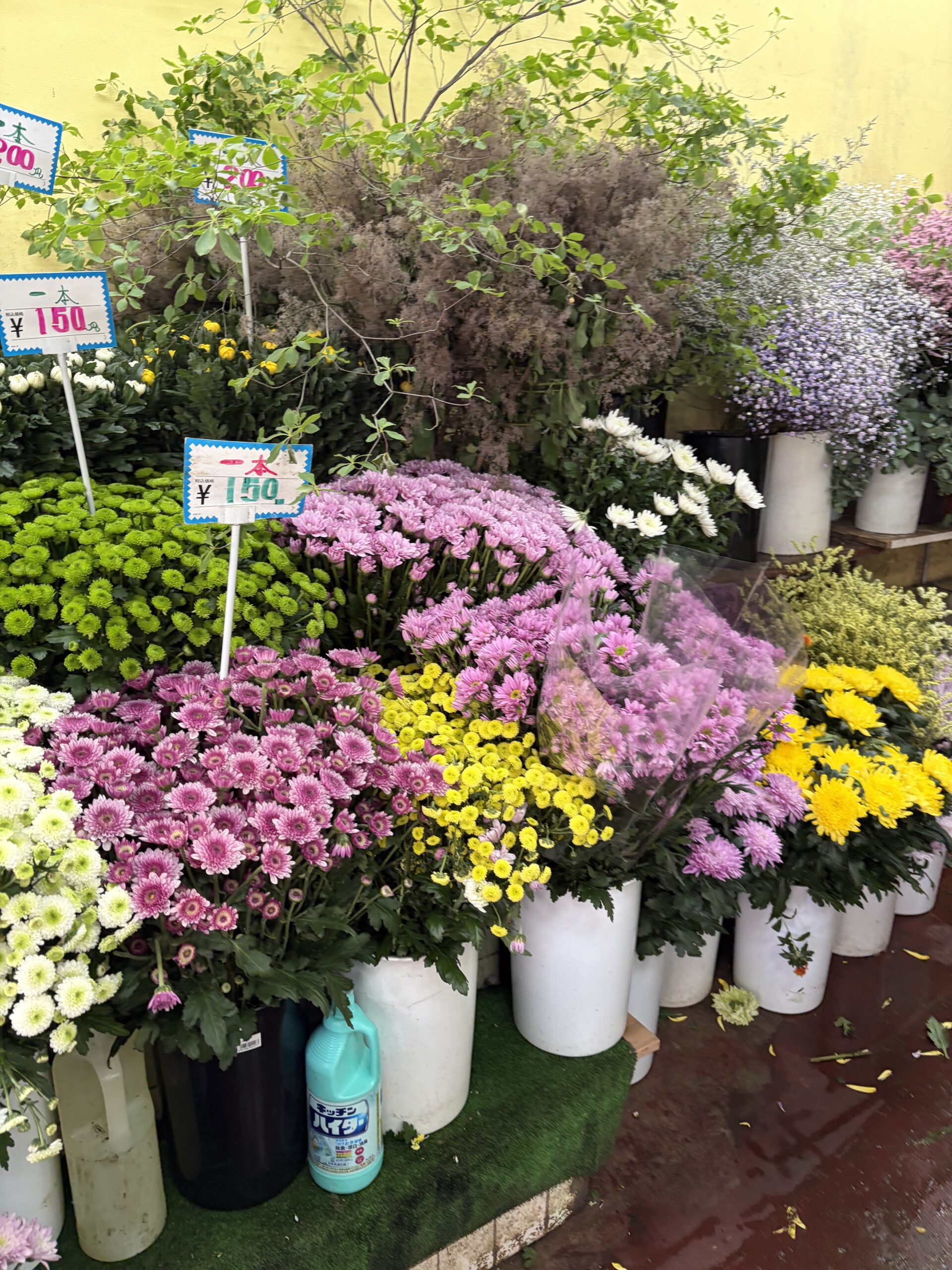 たくさんの生花2