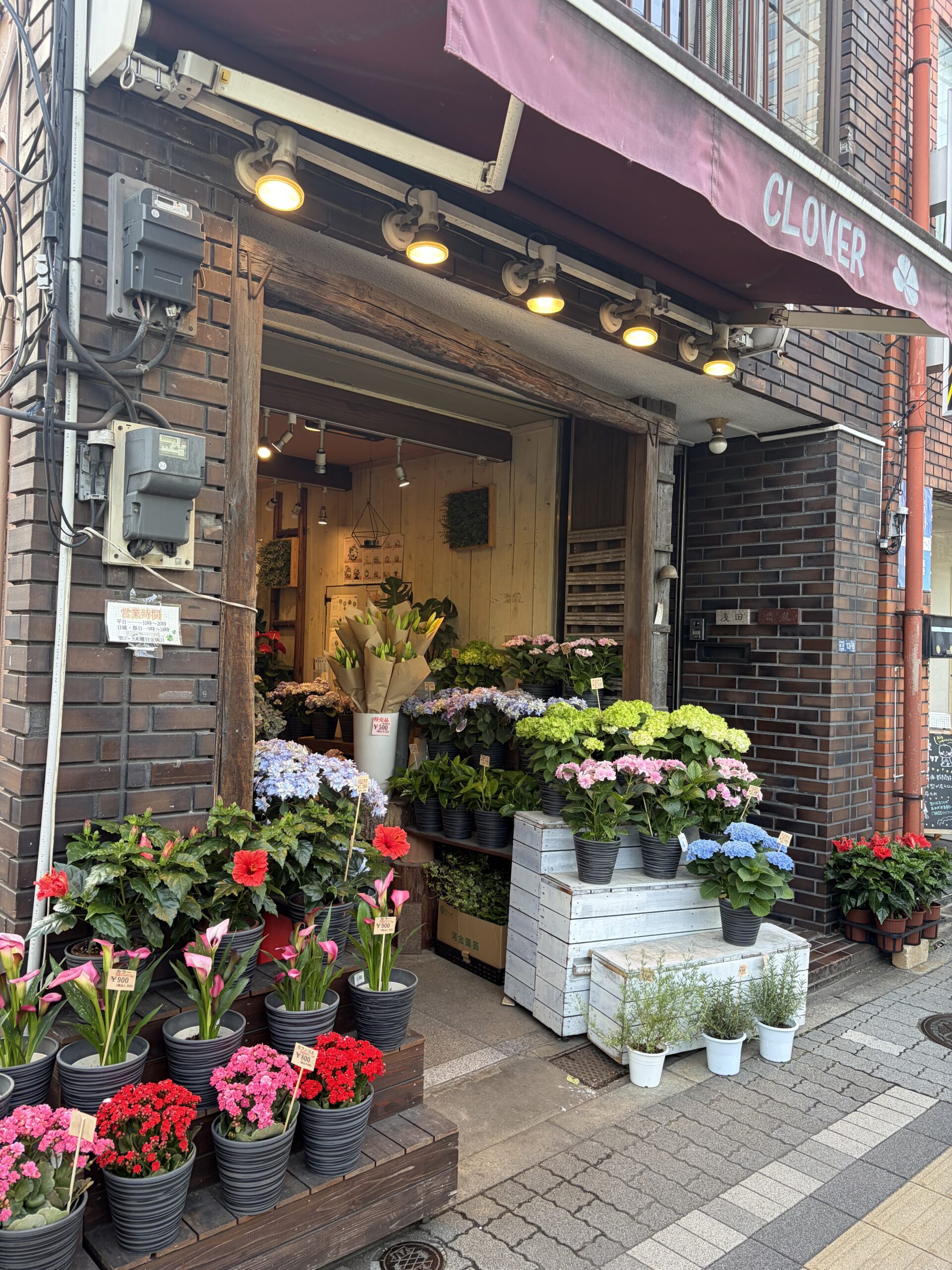 お店の外観