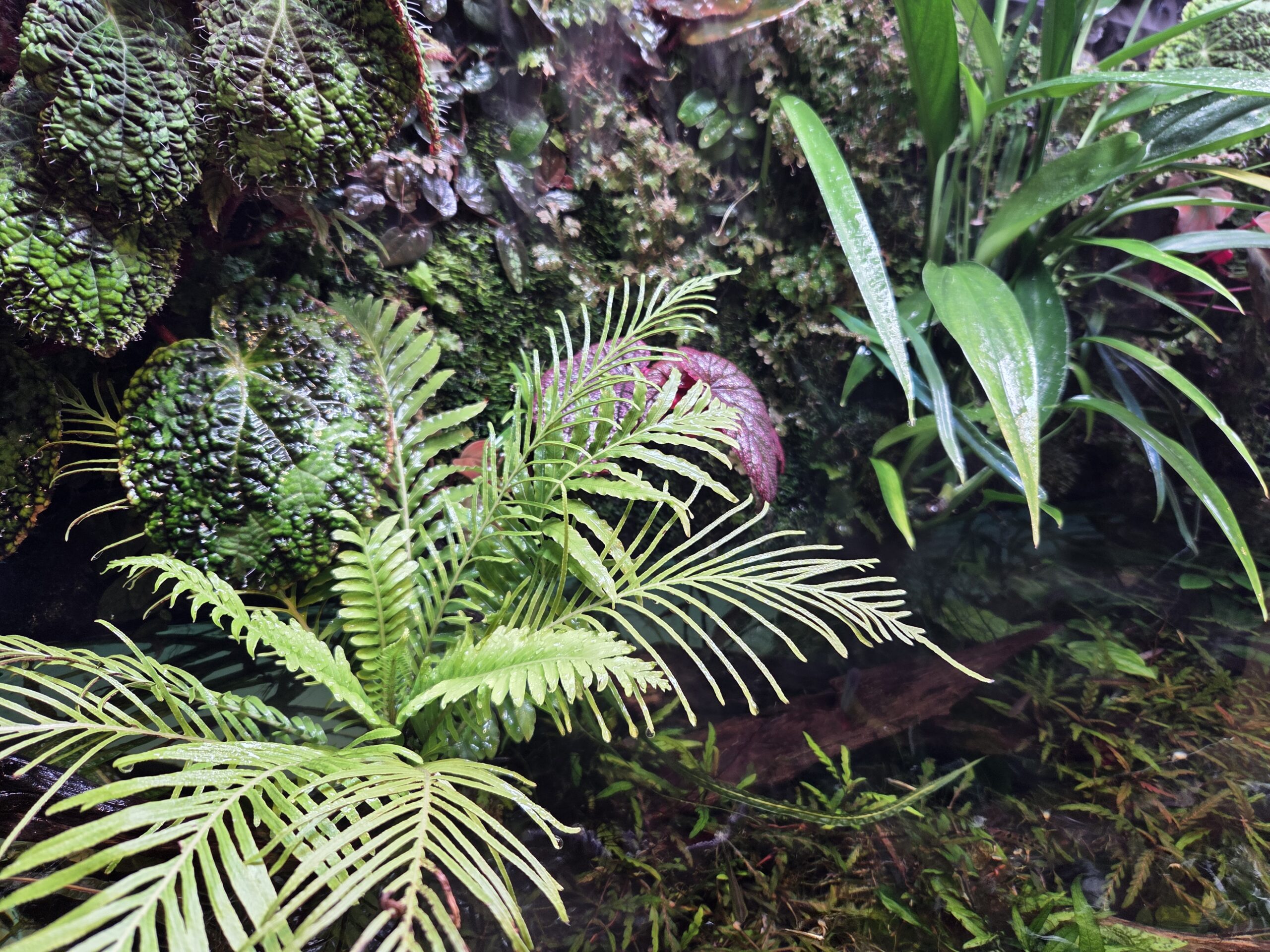 20251206_140151_Original