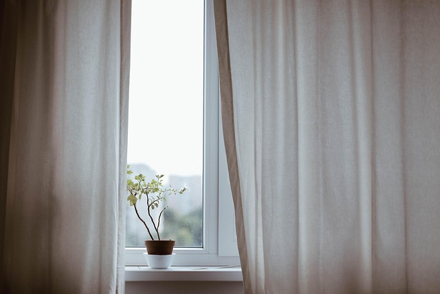 植物の画像